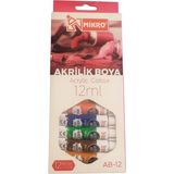 Mikro Akrilik Boya 12 Renk 12 ml Tüp