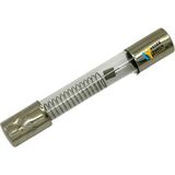 Mikrodalga Fırın Cam Sigorta 0.8A 5kv - 2cm - Adet-Set
