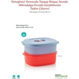Mikrodalga Fırın Isıtma Kabı 2 Li - Çok Renkli - Standart