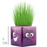 mikudesign Çim Adam Mini Küp Emoji Figürlü 1 Adet 24242422979