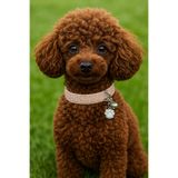 milamiow köpek tasması köpek kolye parlak taşlı pırlanta tasma parlak tasma kolye