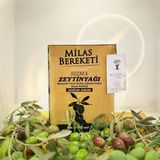 Milas Bereketi Yeni Hasat Natural Soğuk Sıkım Sızma Zeytinyağı Memecik Zeytini 0.4 Dizem 3 lt