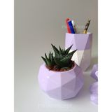 Mile Concept Masaüstü Dekoratif Beton Kalemlik, Saksı, Sukulent/kaktüs, Notluk ve Ayıcık Seti - Lila