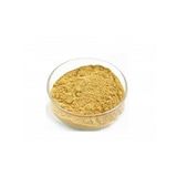 Milk Thistle Extract 50 Gr ( Hammadde)