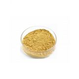 Milk Thistle Extract (Deve Dikeni Ekstresi) Toz Hammadde 100 Gr.