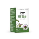 Milk Thistle Takviye Edici Gıda 30 Tablet