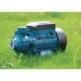 Millian Profesyonel Italyan 30 Metre Dik Basar Elektrikli Su Pompası 0.75 Hp 0.5 Kw 8 Metre Emiş İle Bahçe Sulama İçin İdeal