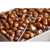 Milyon Yeni Mahsül Yumuşak Bağdat Hurması 5 KG