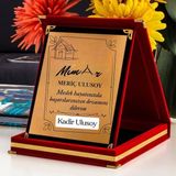 Mimar Temalı Kişiye Özel Plaket - Kadife Kutulu - Renkli - standart