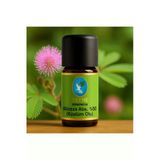 Mimoza (Küstümotu) Abs. %50 Geleneksel %100 Saf Uçucu Yağ 5Ml