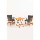 Minderli Loretta Masa Sandalye Seti 2+1 Ahşap Bahçe Balkon Teras Katlanır Set 60x60 Masa-antrasit Antrasit