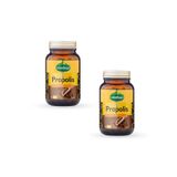 Mindivan Propolis Ekstraklı 500 Mg 2x60 Kapsül