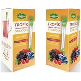 Mindivan Tropik Stick Çay 20'li Stick Çay (2'li)