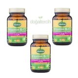 Mindivan Vitamin B12 Ginkgo Biloba Arginine 3x60 Kapsül