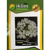 MİNE ÇİÇEĞİ TOHUMU-4 BEYAZ (TAKRİBİ 40 ADET TOHUM)