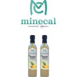 Minecal %100 Ev Yapımı Katkısız Ananas Sirkesi 2X500ML - 1 lt