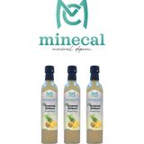 Minecal %100 Ev Yapımı Katkısız Ananas Sirkesi 3X500ML - 1,5 lt