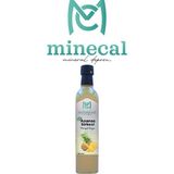 Minecal %100 Ev Yapımı Katkısız Ananas Sirkesi 500ML - 0,50 lt