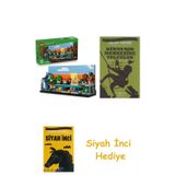 Minecraft Mini Biyomlar 21589-12 Yaş Ve + Dünyanın Merkezine Yolculuk + Siyah İnci Hediye