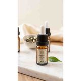 Minelly Le Nil Green Tea – Katkısız Saf Esans 10 ml Katkısız Saf Esans 10 ml – Buhurdanlık Esansı, Oda Kokusu Esansı, Aromaterapi Kokusu, Difüzör Esansı, Mum Esansı, Yoğun Kalıcı Koku