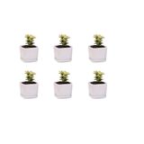 Mini 6'lı Set 2x2x1,6 inç Kare Modern Minimalist Beyaz Seramik Sukulent Mini Saksı/Altlıklı Pencere Kutusu (6, 2 inç)