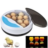 Mini 9+4 Yumurtalı Otomatik Kuluçka Makinası