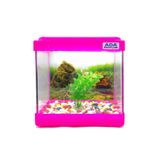 Mini Akvaryum Pembe 20X20x15 Akvaryum Renkli Cakil Plastik Bitki Arka Fon