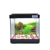 Mini Akvaryum Siyah 20X20x15 Akvaryum Renkli Cakil Plastik Bitki Arka Fon