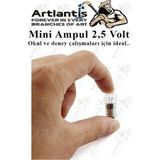 Mini Ampul 2,5 Volt 1 Adet Küçük Elektrik Deney Ampulü 2.5 V Okul Sınıf Elektrik Devre Deney Ampulü - Sarı - Standart