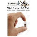Mini Ampul 2,5 Volt 1 Adet Küçük Elektrik Deney Ampulü 2.5 v Okul Sınıf Elektrik Devre Deney Ampulü