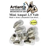 Mini Ampul 2,5 Volt 10 Adet 1 Paket Küçük Elektrik Deney Ampulü 2.5 v Okul Sınıf Elektrik Devre Deney Ampulü