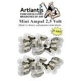 Mini Ampul 2,5 Volt 25 Adet 1 Paket Küçük Elektrik Deney Ampulü 2.5 v Okul Sınıf Elektrik Devre Deney Ampulü
