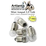 Mini Ampul 2,5 Volt 5 Adet 1 Paket Kucuk Elektrik Deney Ampulu 2.5 V Okul Sinif Elektrik Devre Deney Ampulu