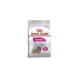 Mini Exigent Adult Yetişkin Köpek Maması 3 Kg