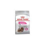 Mini Exigent Kopek Mamasi 3 Kg