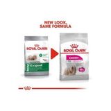 Mini Exigent Kuru Köpek Maması 3Kg
