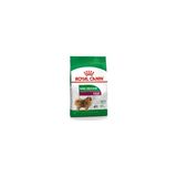Mini Indoor Adult Köpek Maması 1,5 Kg