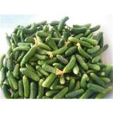 Mini Kornişon Turşuluk Salatalık 5 kg