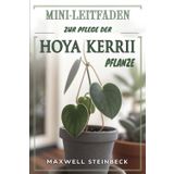 Mini-Leitfaden zur Pflege der Hoya Kerrii Pflanze