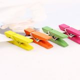 Mini Renkli Mandal 2.5 Cm Küçük Renkli Mandal 100 Adet Ahşap Çok Renkli