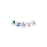 Mini Resim Çerçeveli 10 Mandal Set - 0,25 gr