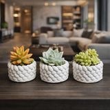 Mini Saksı Seti 5 cm – El Yapımı Dekoratif Beton Saksı | Küçük Sukulent Saksısı, Masa & R