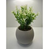 Mini Saksıda Afrika Zambağı Yapay Bitki Gerçek Taş Yosunlu 18 Cm Dekoratif Banyo Mutfak Masa Çiçeği - Bejsaksı-yeşilbeyazbitki