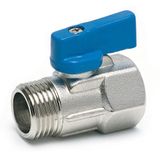Mini Vana Erkek Dişi 1/4X1/4