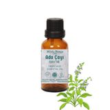 Minia Bahçe 10 ml Ada Çayı Uçucu Yağı