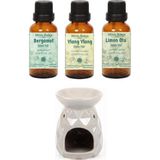 Minia Bahçe Bergamot Yağı 10ML, Ylang Ylang Yağı 10ML, Limon Otu Yağı 10ML ve Buhurdanlık - 10 ml