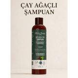 Minia Bahçe Çay Ağacı Şampuan – Çay Ağacı, Isırgan Otu ve BuğdayProteini İçeren Saç ve Saç Derisi Bakım Şampuanı, 400 ml - 1
