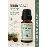 Minia Bahçe Sedir Ağacı Uçucu Yağı – 10 ml | Saf ve Katkısız BitkiselUçucu Yağ