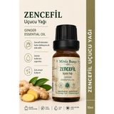 Minia Bahçe Zencefil Uçucu Yağı – 10 ml | Saf ve Katkısız Bitkisel Uçucu Yağ