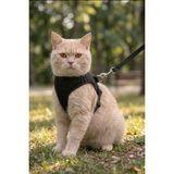 minial Kaçış Önleyici Kedi Gögüs Tasması - Siyah - Siyah